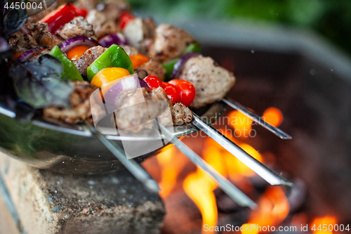 Image of Shashlik And Fire