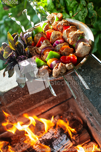 Image of Shashlik And Fire