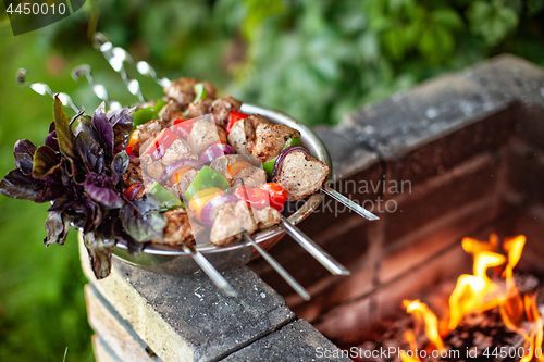 Image of Shashlik And Fire