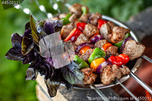 Image of Shashlik And Fire