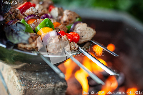 Image of Shashlik And Fire