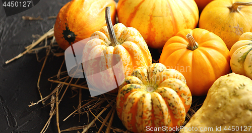 Image of Heap of pumpkins with hay