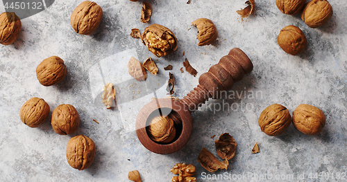 Image of Wooden cracker with walnuts in composition