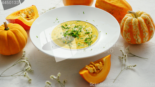 Image of Soup in plate with pumpkins around