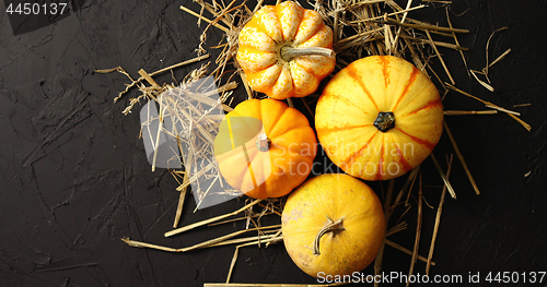 Image of Yellow pumpkins laid on hay