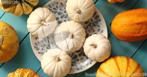 Image of White pumpkins laid on plate