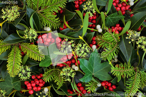 Image of Winter Holly Ivy and Mistletoe Background