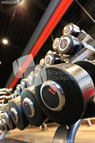 Image of Gym interior with dumbbells stand