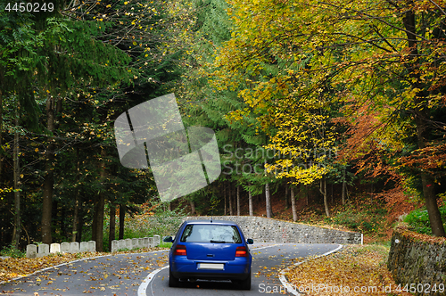 Image of Car in the forest at Transfagarasan road