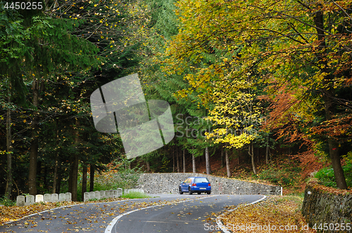 Image of Car in the forest at Transfagarasan road