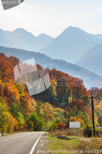 Image of Road in the forest at Transfagarasan