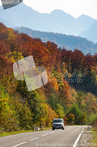 Image of Car in the forest at Transfagarasan road