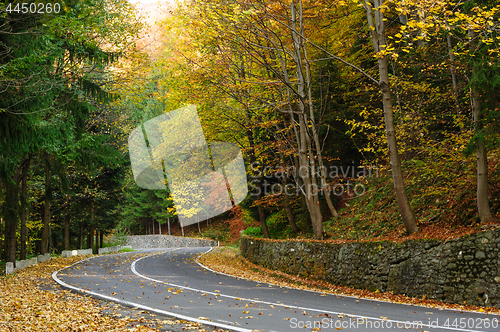 Image of Road in the forest at Transfagarasan