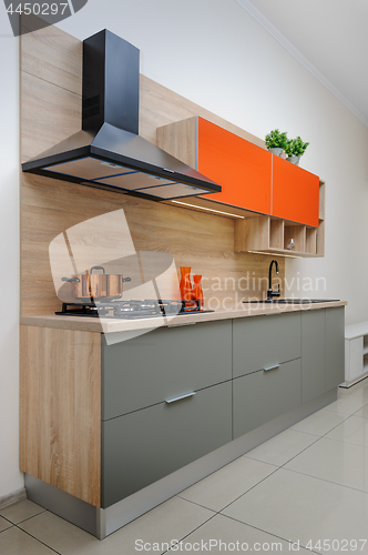 Image of Luxury modern kitchen