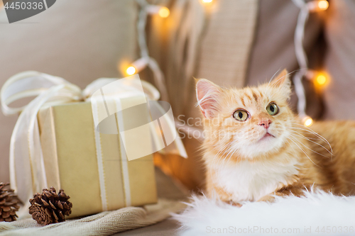 Image of red tabby cat on sofa with christmas gift at home