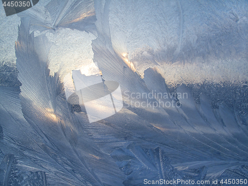 Image of Beautiful ice pattern and sunlight