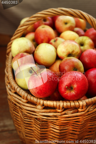 Image of Bright tasty ripe apples in a basket