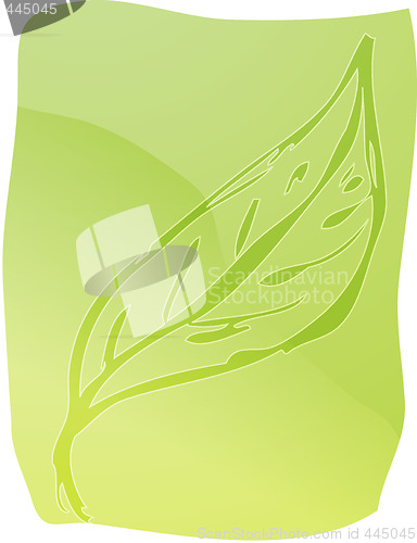 Image of Leaf illustration