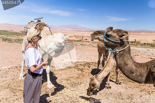 Image of Young woman with a camels in Morocco.