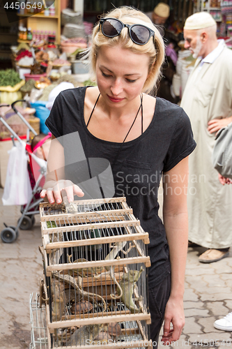 Image of Female traveler observing young chameleons in a wooden cage beeing displaied and sold at market in medina in Marrakesh, Morocco.