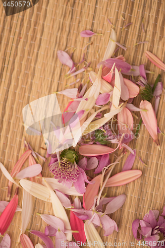 Image of close up colorful flowers