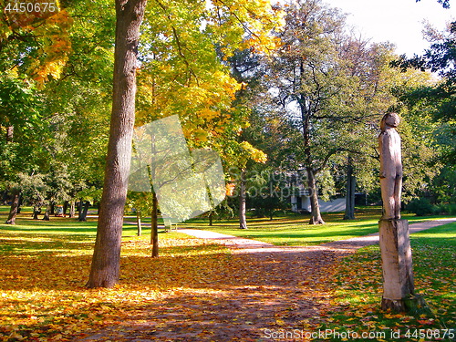 Image of autumn maple trees in fall city park
