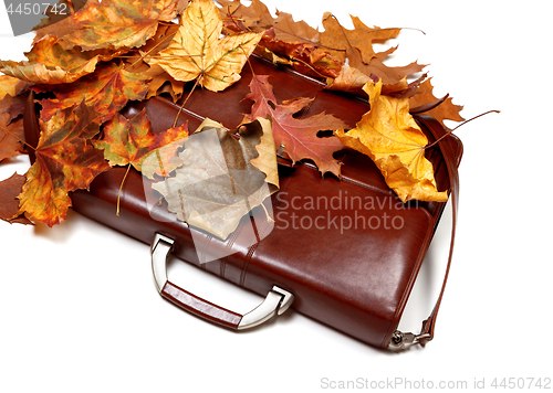 Image of Brown leather briefcase and autumn dry leaves