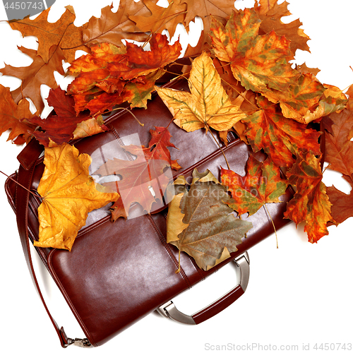 Image of Brown leather briefcase and autumn dry leaves