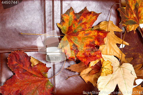 Image of Brown leather briefcase and dry leaves