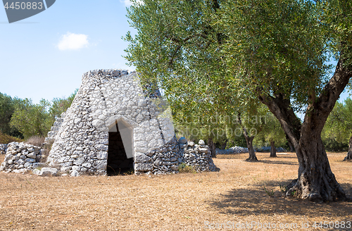 Image of Puglia Region, Italy. Traditional warehouse made of stone