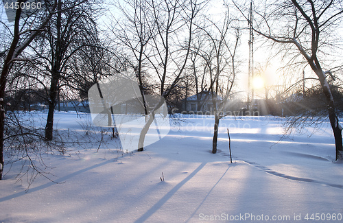 Image of the first spring morning