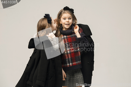 Image of The fashion portrait of young beautiful teen girls at studio