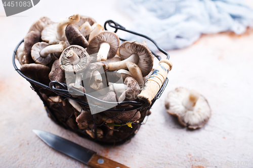 Image of raw mushrooms
