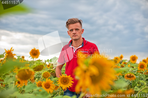 Image of Man standing in front of sunflowers
