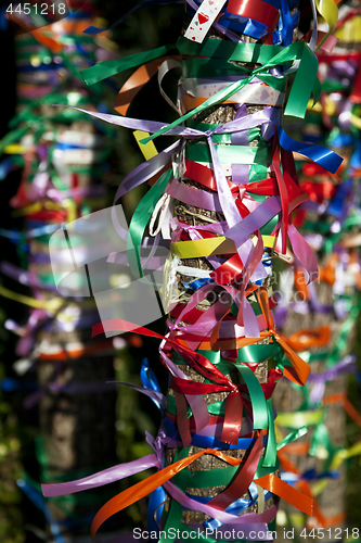 Image of Multi-colored ribbons on a tree