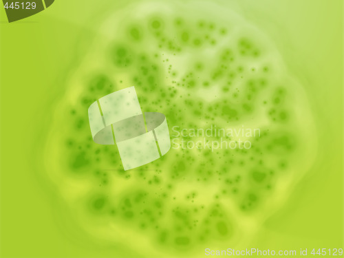 Image of Bacterial cell growth illustration