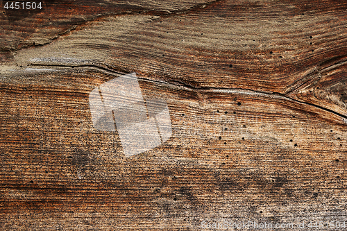 Image of wood borers holes on wooden plank