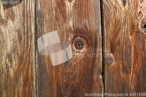 Image of fir wood planks texture