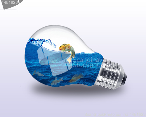 Image of electric lamp aquarium
