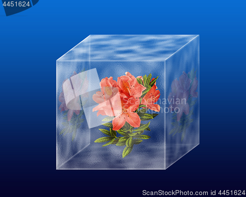 Image of flowers under the glass