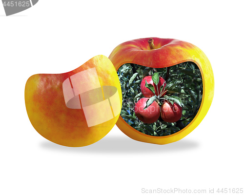 Image of abstract composition of a cut apple