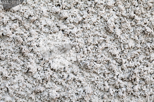 Image of Plaster texture close-up