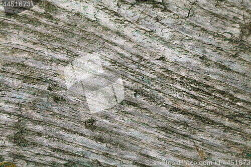 Image of Abstract cracked wood