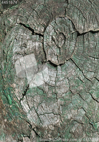 Image of Abstract cracked wood