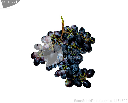 Image of 