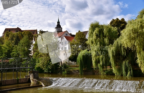 Image of weeping willows on the river