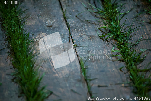 Image of Grass and boards