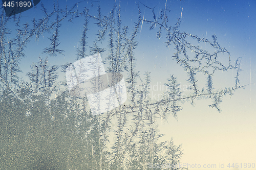 Image of Frost bites on a window on a cold winter