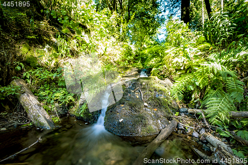 Image of Small waterfall in a green forest in the summer