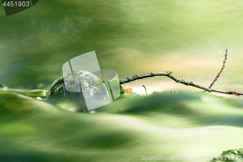 Image of Glass orb in a peaceful forest shining in a river